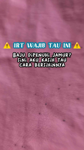 MISS CLEAN CAIRAN PEMBERSIH NODA JAMUR YANG SUSAH DI HILANGKAN DI BAJU/PAKAIAN BOTOL 100 ML AMPUH