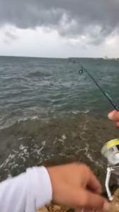 สาย พีอี ตกปลา PE BLACK SPOTS BRAID (X12) สายถักคุณภาพสูง