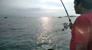 rangkaian pancing ikan kapi- kapi