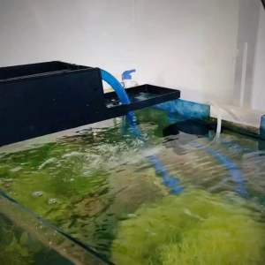 SOBO Aquarium Top filter box and Powerhead Aquarium Water Pump Aquarium Top Filter Pam Air Akuarium Filter Box