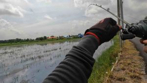 กบยาง รุ่น กบพิษ กบยางน้าเท่ห์ ขนาด3.3cm bkkเบอร์1 น้ำหนัก6กรัม 2ใบหลิวตีน้ำดังลั่น