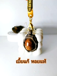 เบี้ยแก้หอยแท้ พร้อมแหนบ ผ่านพิธีและป้องกันสิ่งไม่ดี อาถรรพ์คุณไสย (แถมธูปเวสแดง 1ชิ้น+ผ้ายันต์ท้าวเวส)