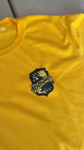Harry Quidditch Team Shirt Gryffindor T-shirt | Goodtee