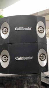 Loa California Việt Nam karraoke bas 20cm