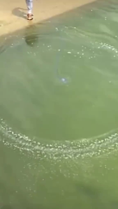 Cast net fishing Net weight Lead pendant sinkers 4kg its best net fishing for everyone please check the video klip