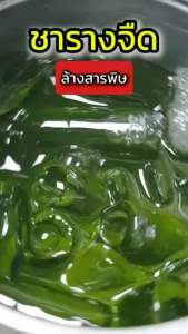 🌿ชารางจืด ล้างสาร 1 ห่อ มี10 ซองชา หอม อร่อย ดื่มง่าย ตราทองหลวง✴️