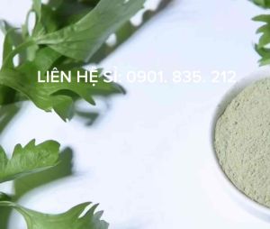 Bột Cần Tây Nguyên Chất ( Celery Powder )