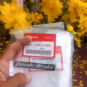 Tem Dán dè trước Honda Thailank