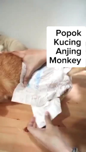 6pcs Pampers M Diapers Popok S Pispot Softpets Hewan Monyet Bayi Kucing Anjing Baby Monkey per pcs