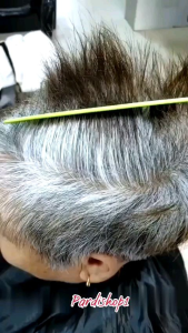 Hair shampo shampoo sampo sampoo penghitam rambut uban