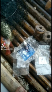 Umpang Cocok Semua Jenis Ikan & Aroma Anyir Siap Seduh