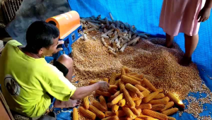 MESIN PIPIL JAGUNG MINI 2