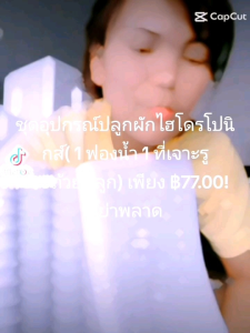 ชุดปลูก​ผักไฮโดร​ถ้วย100/ฟองน้ำ​1/ที่เจาะ1ชิ้น