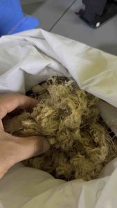 BAMBOO fiber COTTON for pillow research textiles industry