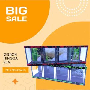 Aquarium minimalis dengan sekat 4