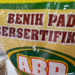 BENIH PADI ABP JUMBO (5KG) Berkualitas
