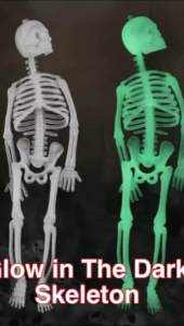 Tengkorak glow in the dark/skeleton/dekorasi halloween cafe