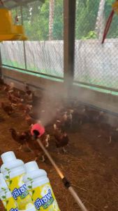 ยูซีเซฟ ผลิตภัณฑ์พ่นฆ่าเชื้อเล้าไก่ คอกสัตว์ โรงเรือน ฟาร์ม โดนตัวสัตว์ได้ ขนาด 1 ลิตร