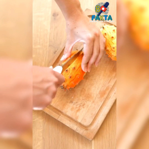 3 BUTIR BIJI BENIH TANAMAN MELON TANDUK KIWANO