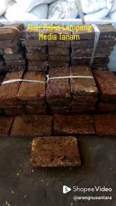 Akar Pakis Papan Lempeng 10+×20+×3 Media Tanam Kering Murah