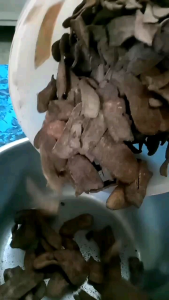 keripik pisang/makanan ringan/varian rasa/keripik keriuuk