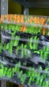 Varian terbaru Scraf pramuka polos bahan katun jumping menyala dalam gelap