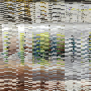 Papan Cas SAMSUNG A02 M02/ Konektor Cas PCB Board Plug in Con Cas Samsung Galaxy A02 A022