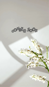 Celana Pendek Wanita Boardshort Bahan Pleece Tebal Premium