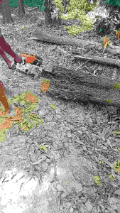 โปรโมชั่น โซ่เลื่อยยนต์ ขนาด11.5นิ้ว 21.5ฟัน โซ่เลื่อยยนต์ ROMAN