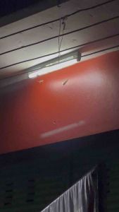 ครีมกำจัดจิ้งจก ยากำจัดจิ้งจก ไล่จิ้งจกในบ้าน แก้ปัญหาจิ้งจก ครีมล่อกำจัดจิ้งจก