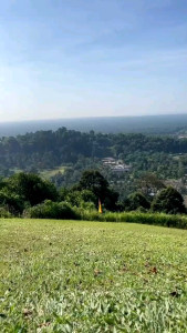 Sampul Duit Raya Tarik Lipat Viral