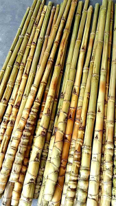 JORANG PANCING#GAGANG PANCING CENDANI