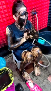 Lulur VELLS BEAUTY ORIGINAL: Hadiah Gratis Untuk Perawatan Kulit Wajah