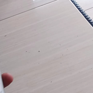 Pedal Pijakan Kaki Honda Blade & Dobel Disk Sebelah Kanan Second Original