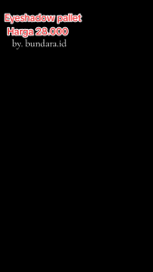 Abee Ko-211 Korean eyeshadow Glitter pallete Dikalu coco venus matte eyeshadow