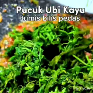 300g (1 ikat) Pucuk Ubi Kayu Segar Dari Pokok