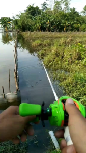 SOFT FROG KECIL MURAH