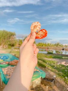 20con tôm khô sú size vừa y hình Cà Mau nhà mẹ em làm (tôm khô sú nguyên vỏ)