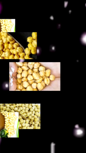 KACANG ARAB 1KG/KACANG ARAB AL MADINAH/KACANG ARAB MURAH/EH OLEH HAJI