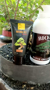 Pupuk Perlengkapan Bonsai 3in 1