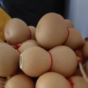 BẦU HỒ LÔ PHONG THỦY