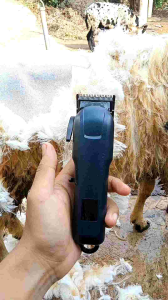 Mesin Cukur Hewan Murah Berkualitas