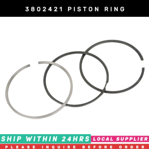 3802421 PISTON RING 3802230 3802050 [3PCS/SET] FOR CUMMINS 4BT 6BT KOMATSU 4D102 6D102. OVER SIZE [PRE-ORDER ONLY] 3802422(0.50mm) / 3802052 / 3802232 3802423(1.00mm) /3802054/3802234
