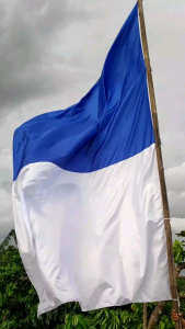 Bendera Biru Putih Bobotoh Persib: Sejarah & Signifikansi