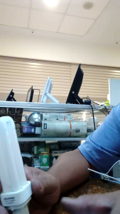 lampu PLS sylvania LYNX-D 13w/860 cahaya putih 2 pin