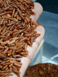 Beras Merah 5kg Pulen