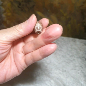 Aged Tibetan Xang Xung (Zhang Zhung) Longevity Treasure Vase Da Luo Dzi full of red spots (with certificate free necklace cord) 西藏老矿象雄满红朱砂长寿宝瓶达洛天珠(带证书送项链绳)