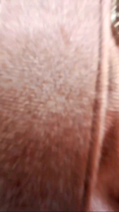 Set Atasan & Bawahan Kebaya Bludru Kutubaru Free Bross