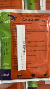Coli 4800 (gói 100g) nhập khẩu Hà Lan xử lý tiêu chảy cho vật nuôi