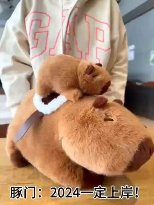 Gấu Bông CAPYBARA Cõng Con Kéo Được Đáng Yêu Hot Trend 3 Kích Thước